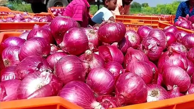 बढ़ती प्याज की कीमतों पर लगाम, सरकार ने 10 दिन में बेचा हजारों टन बफर प्याज
